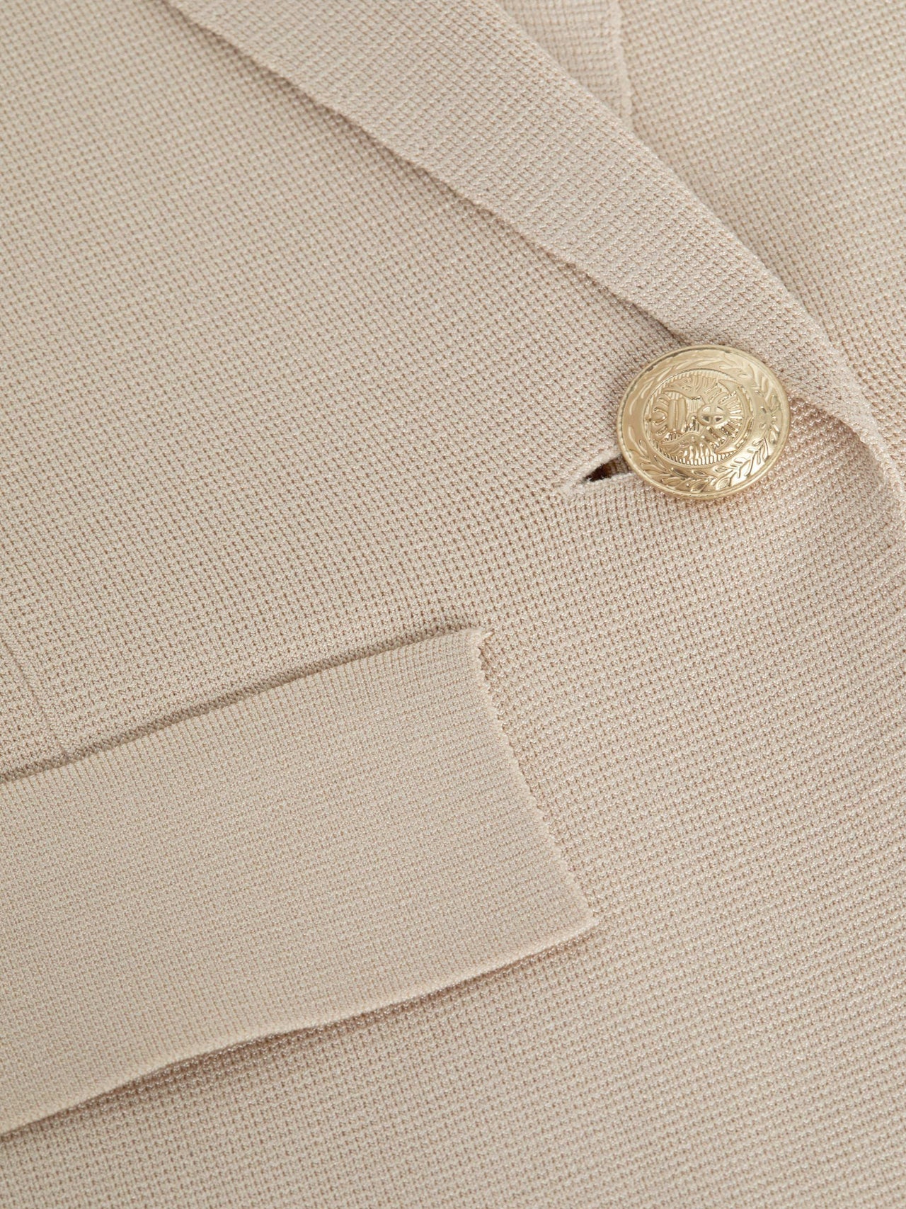 Chamberlain Knit Blazer in Champagne/Gold