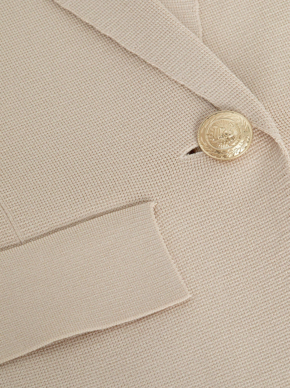 Chamberlain Knit Blazer in Champagne/Gold