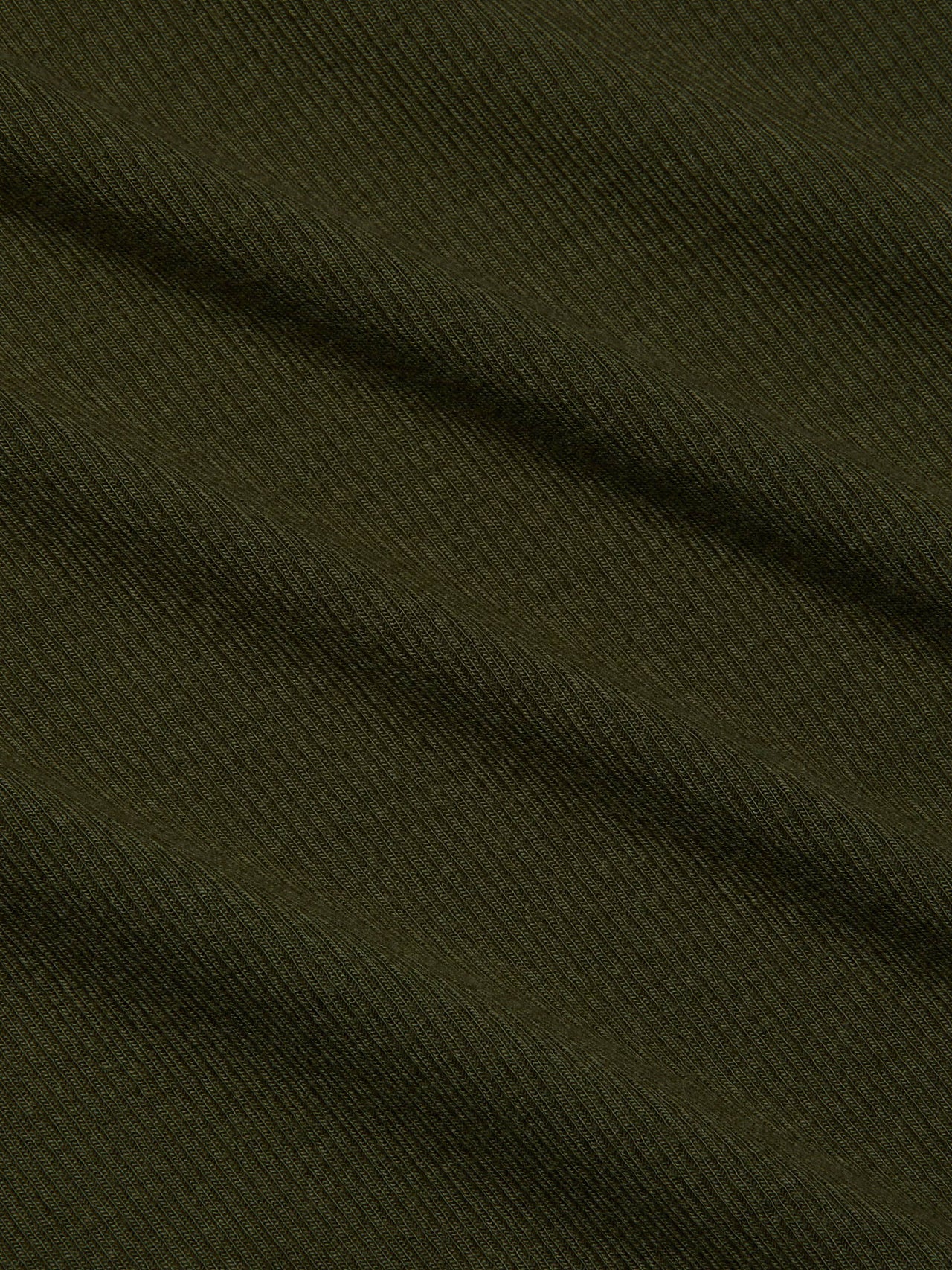 Ressi Fitted Tee in Pine