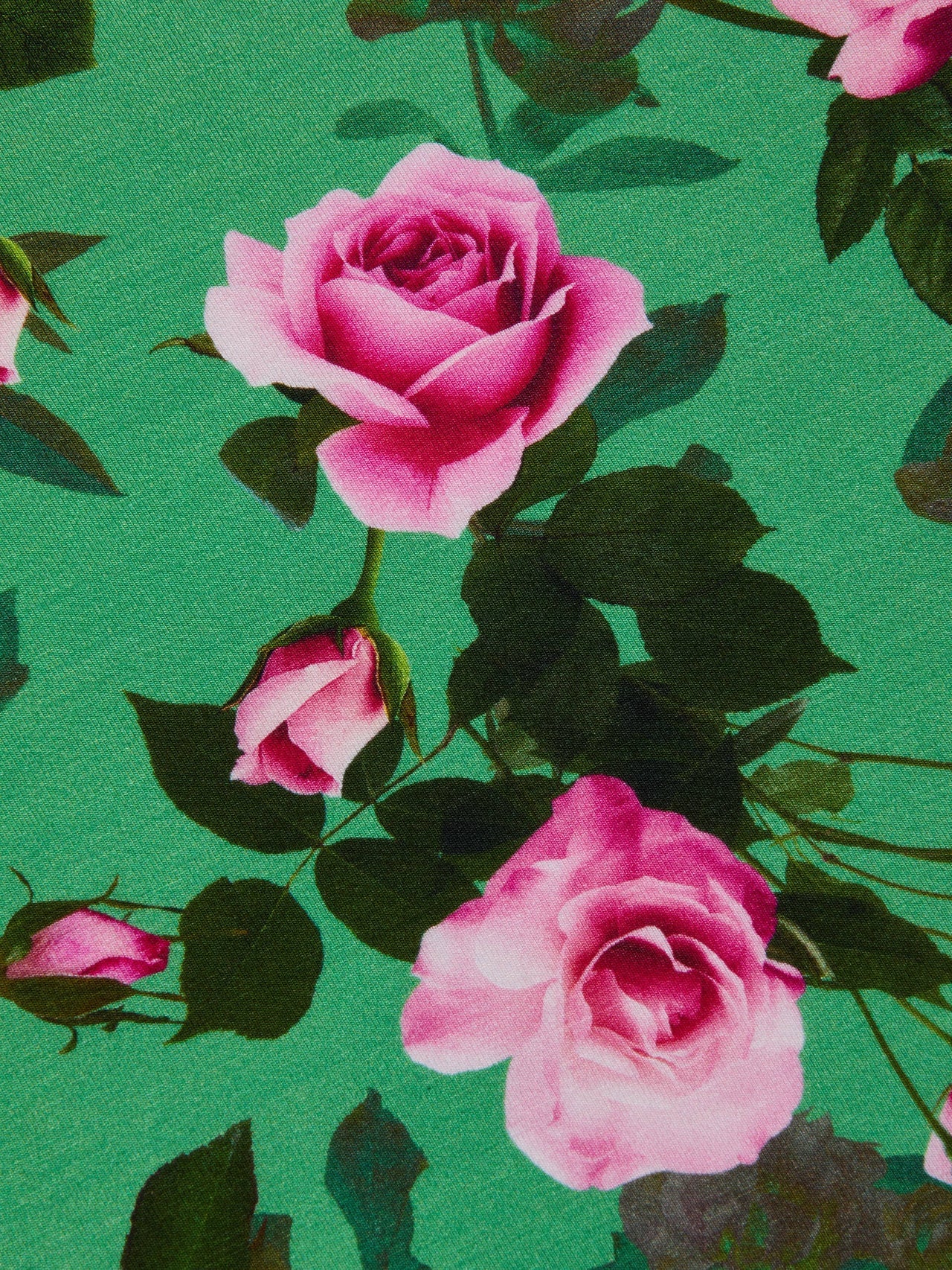 Ressi Fitted Tee in Green Multi Santa Fe Rose