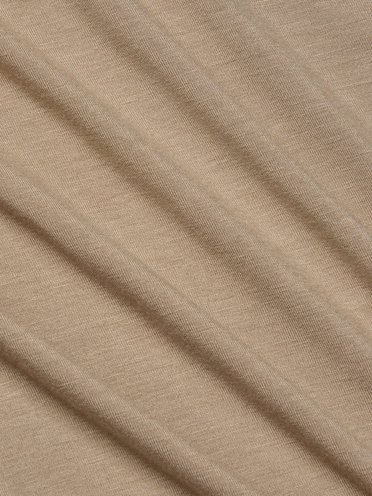 Ressi Fitted Tee in Rye